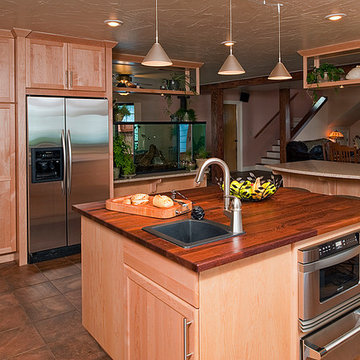 Island & Fish Tank