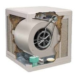 Evaporative Coolers - Home Improvement