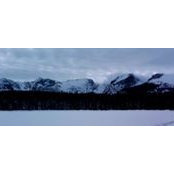 Cynthia Florkey's photo