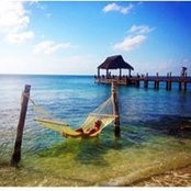 Frida's photo