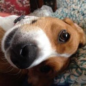 Lisa Morin's photo
