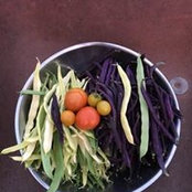 Mary Lu Larsen's photo