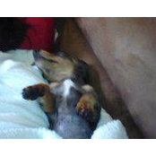 Foto de Veronica Deere
