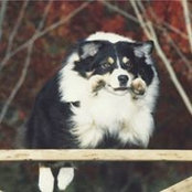 Foto von Jann Grant