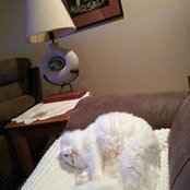 Donna Reed's photo
