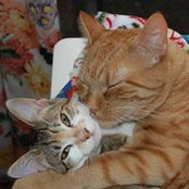 Cheryl Hammond's photo