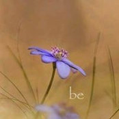 Lorelei Scott's photo