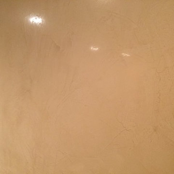 Venetian Plaster