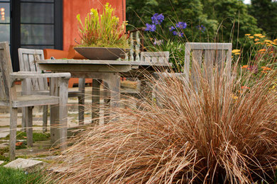 Photo of a mediterranean landscaping in Seattle.