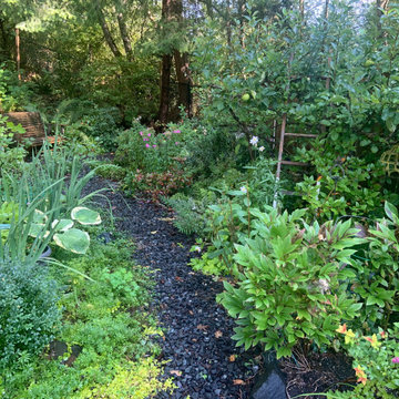 Woodland Meets Backyard