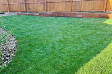 This is an example of a landscaping in Denver.