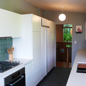Mid Century Modern Kitchen