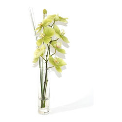 Green Phalaenopsis Orchid Branch Bud Vase - Products