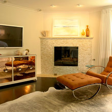 Wood Stove & Fireplace