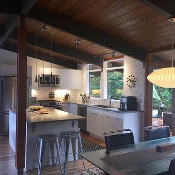 South Hills Mid-Century Remodel