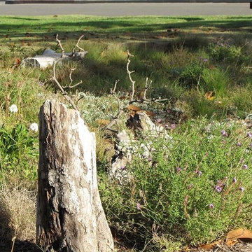 2018 Native Plant Garden Tour