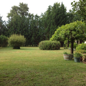 Entretien jardins et espaces verts