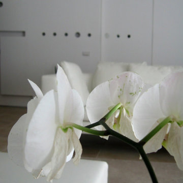 casa S+V