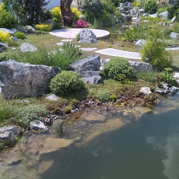 natural pond, Teichlandschaft