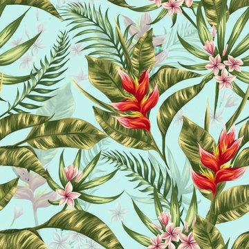Wallpaper application project Sri Lanka