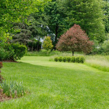 Mature Garden