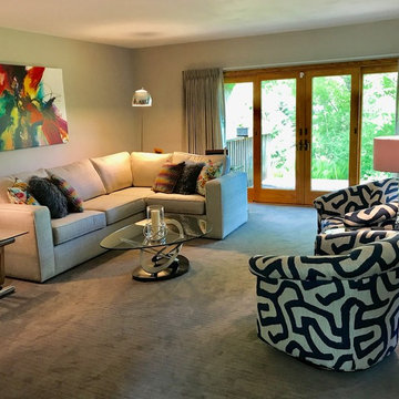 Updated Contemporary Living Room