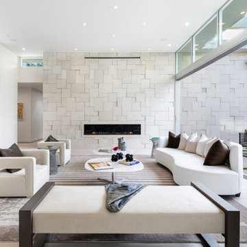 Contemporary Living Room