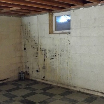 Family Room Renovation