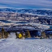 Paul Fischer's photo