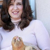 Lisa Torraco's photo