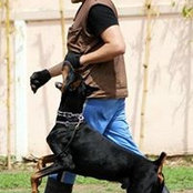 Rene Benavides's photo