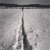 David Pineault's photo