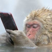 Nicodemus Chan's photo