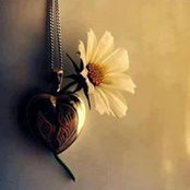 اسہۣۧۗلام فتہٰٰٰ۫حي ۦ'ﮩ's photo