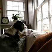 Kate Kliebert's photo