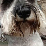 Catherine Grini's photo