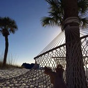 Vesna Hildreth's photo
