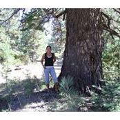 Sherilyn Engel's photo