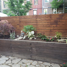 Outdoor Backyard