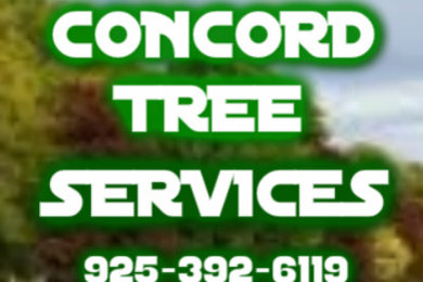 Concords Best Tree Service