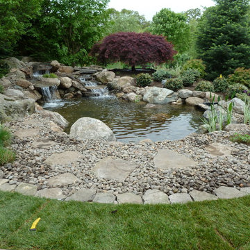 Water Gardens: Pond & Waterfall for Birds & Fish