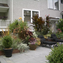 Amorah's gardens