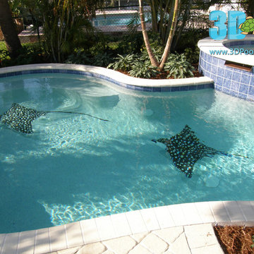 Spotted Rays South Florida