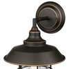 Westinghouse 6121600 Iron Hill 15" Tall Outdoor Wall Sconce - Black Bronze W/