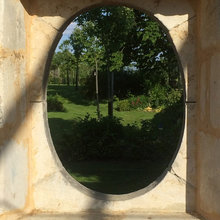 garden and plants
