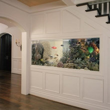 fishtank