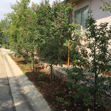 Edible Streetscape