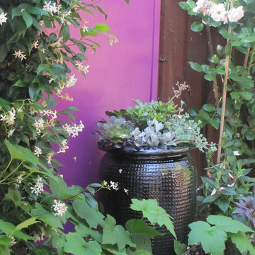 Susan's personal garden
