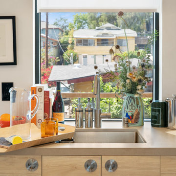 Modern ADU w/ Art Gallery & Rooftop Deck- NextGen Home Builders in Highland Park