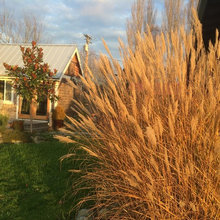 Randys Farm